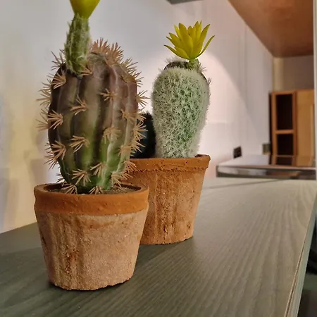 Anastasia - Piazza Erbe Center 아파트 *